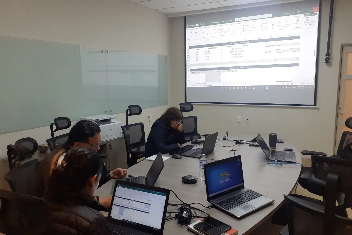 cursos-excel-gobierno